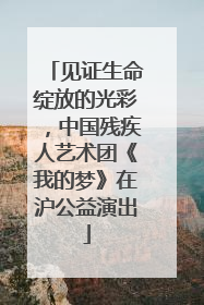 见证生命绽放的光彩，中国残疾人艺术团《我的梦》在沪公益演出