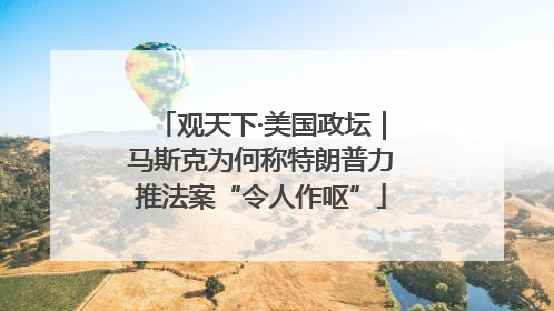观天下·美国政坛｜马斯克为何称特朗普力推法案“令人作呕”