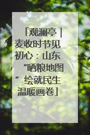 观澜亭｜麦收时节见初心：山东“晒粮地图”绘就民生温暖画卷