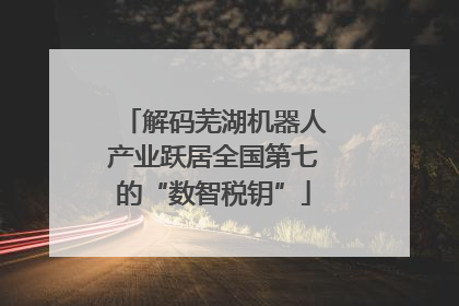 解码芜湖机器人产业跃居全国第七的“数智税钥”