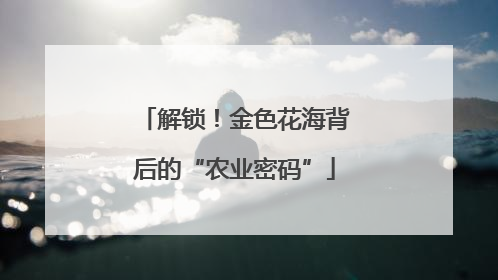 解锁！金色花海背后的“农业密码”