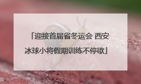 迎接首届省冬运会 西安冰球小将假期训练不停歇