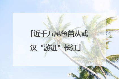 近千万尾鱼苗从武汉“游进”长江