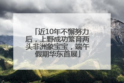 近10年不懈努力后，上野成功繁育两头非洲象宝宝，端午假期华东首展