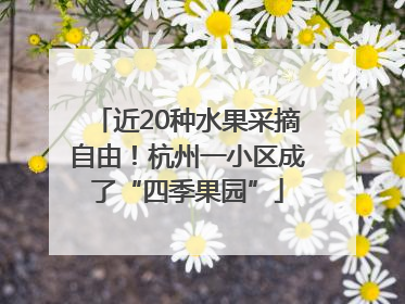 近20种水果采摘自由！杭州一小区成了“四季果园”