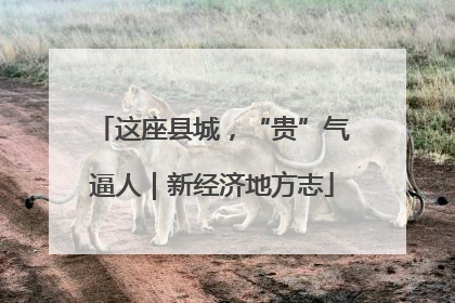 这座县城，“贵”气逼人｜新经济地方志