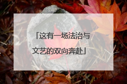 这有一场法治与文艺的双向奔赴