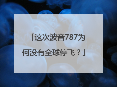 这次波音787为何没有全球停飞？