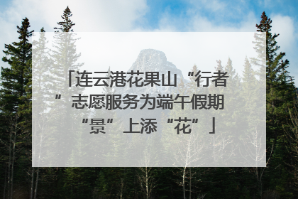 连云港花果山“行者”志愿服务为端午假期“景”上添“花”