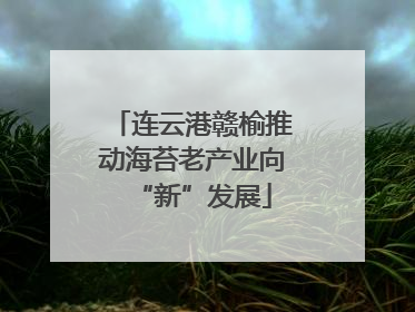 连云港赣榆推动海苔老产业向“新”发展