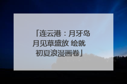 连云港：月牙岛月见草盛放 绘就初夏浪漫画卷