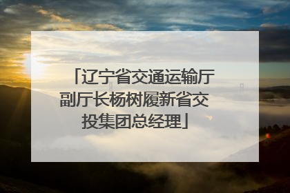 辽宁省交通运输厅副厅长杨树履新省交投集团总经理