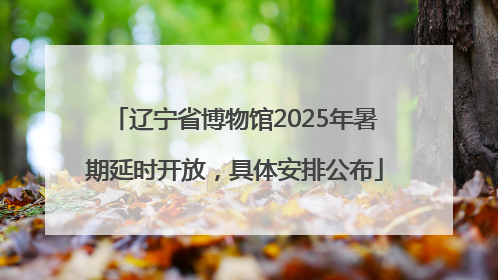 辽宁省博物馆2025年暑期延时开放，具体安排公布