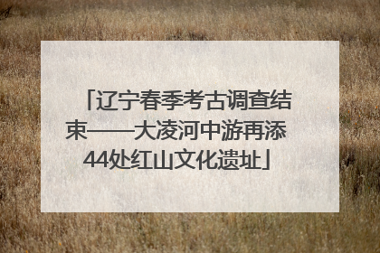 辽宁春季考古调查结束——大凌河中游再添44处红山文化遗址