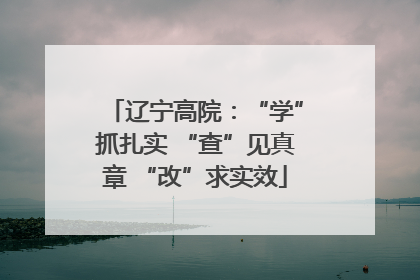 辽宁高院：“学”抓扎实 “查”见真章 “改”求实效