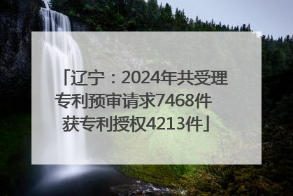 辽宁：2024年共受理专利预审请求7468件 获专利授权4213件