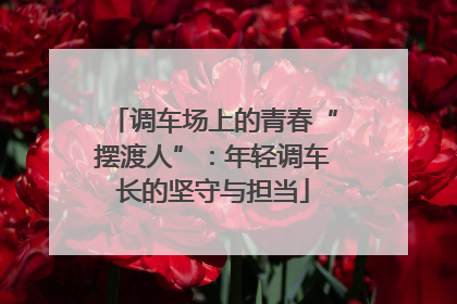 调车场上的青春“摆渡人”：年轻调车长的坚守与担当