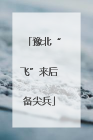 豫北“飞”来后备尖兵