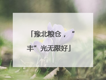 豫北粮仓，“丰”光无限好