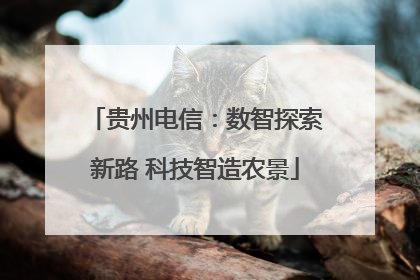 贵州电信：数智探索新路 科技智造农景