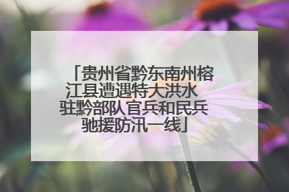 贵州省黔东南州榕江县遭遇特大洪水 驻黔部队官兵和民兵驰援防汛一线