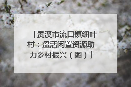 贵溪市流口镇细叶村：盘活闲置资源助力乡村振兴（图）