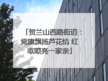 贺兰山西路街道：党旗飘扬芦花情 红歌嘹亮一家亲