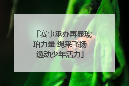 赛事承办再显琥珀力量 绳采飞扬逸动少年活力