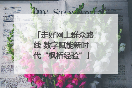走好网上群众路线 数字赋能新时代“枫桥经验”