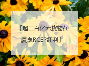 超三百亿元货物在厦享RCEP红利