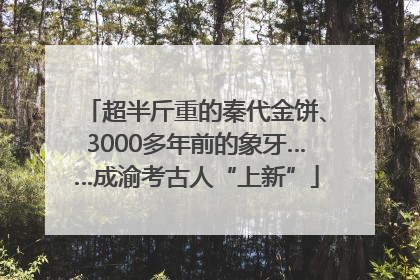 超半斤重的秦代金饼、3000多年前的象牙……成渝考古人“上新”