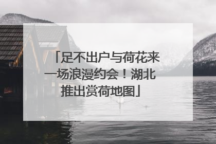 足不出户与荷花来一场浪漫约会！湖北推出赏荷地图