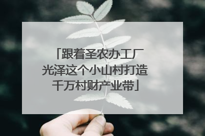 跟着圣农办工厂 光泽这个小山村打造千万村财产业带