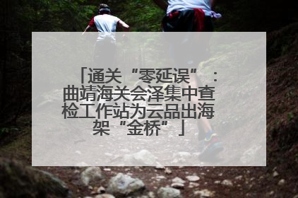 通关“零延误”：曲靖海关会泽集中查检工作站为云品出海架“金桥”