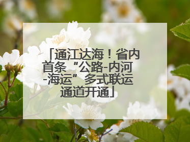 通江达海！省内首条“公路-内河-海运”多式联运通道开通