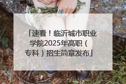 速看！临沂城市职业学院2025年高职（专科）招生简章发布