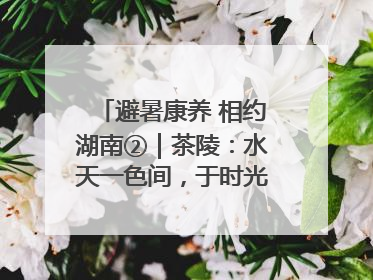 避暑康养 相约湖南②｜茶陵：水天一色间，于时光里拾取诗意