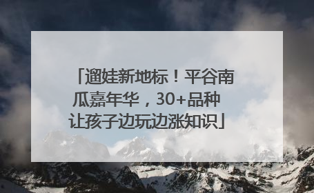 遛娃新地标！平谷南瓜嘉年华，30+品种让孩子边玩边涨知识