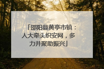 邵阳县黄亭市镇：人大牵头织安网，多力并聚助振兴