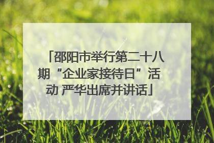 邵阳市举行第二十八期“企业家接待日”活动 严华出席并讲话