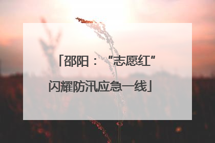 邵阳：“志愿红”闪耀防汛应急一线