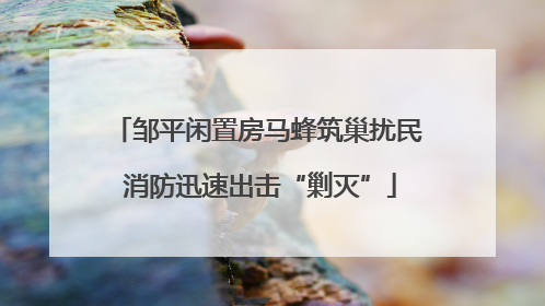 邹平闲置房马蜂筑巢扰民 消防迅速出击“剿灭”
