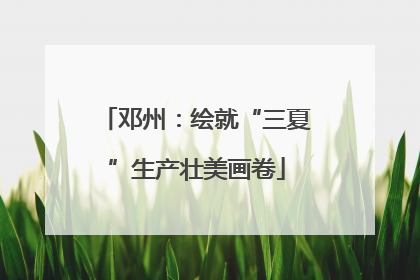 邓州：绘就“三夏”生产壮美画卷