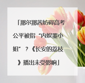 那尔那茜妨碍高考公平被指“内娱董小姐”？《长安的荔枝》播出未受影响