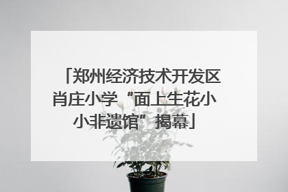 郑州经济技术开发区肖庄小学“面上生花小小非遗馆”揭幕