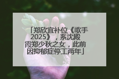 郑欣宜补位《歌手2025》，系沈殿霞郑少秋之女，此前因抑郁症停工两年