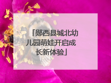 郧西县城北幼儿园萌娃开启成长新体验