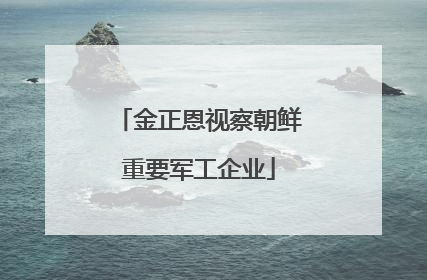 金正恩视察朝鲜重要军工企业