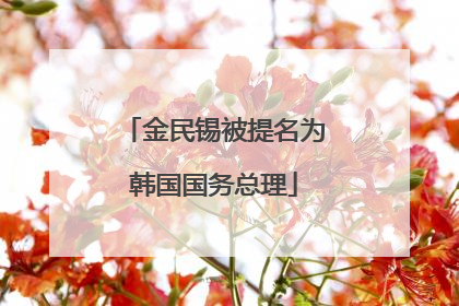 金民锡被提名为韩国国务总理