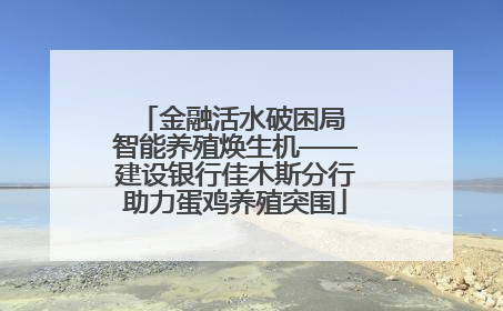 金融活水破困局 智能养殖焕生机——建设银行佳木斯分行助力蛋鸡养殖突围